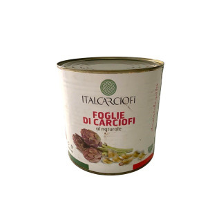 FOGLIE DI CARCIOFI GR 2650 ITAL