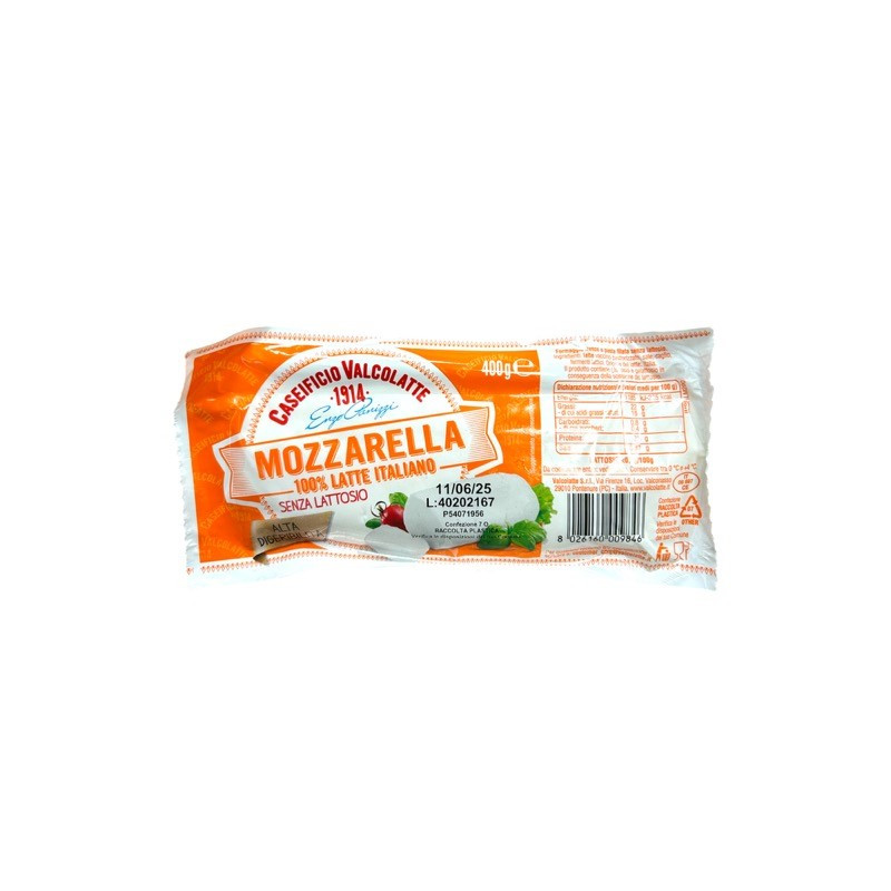 MOZZARELLA FILONE SENZA LATTOSIO GR 400