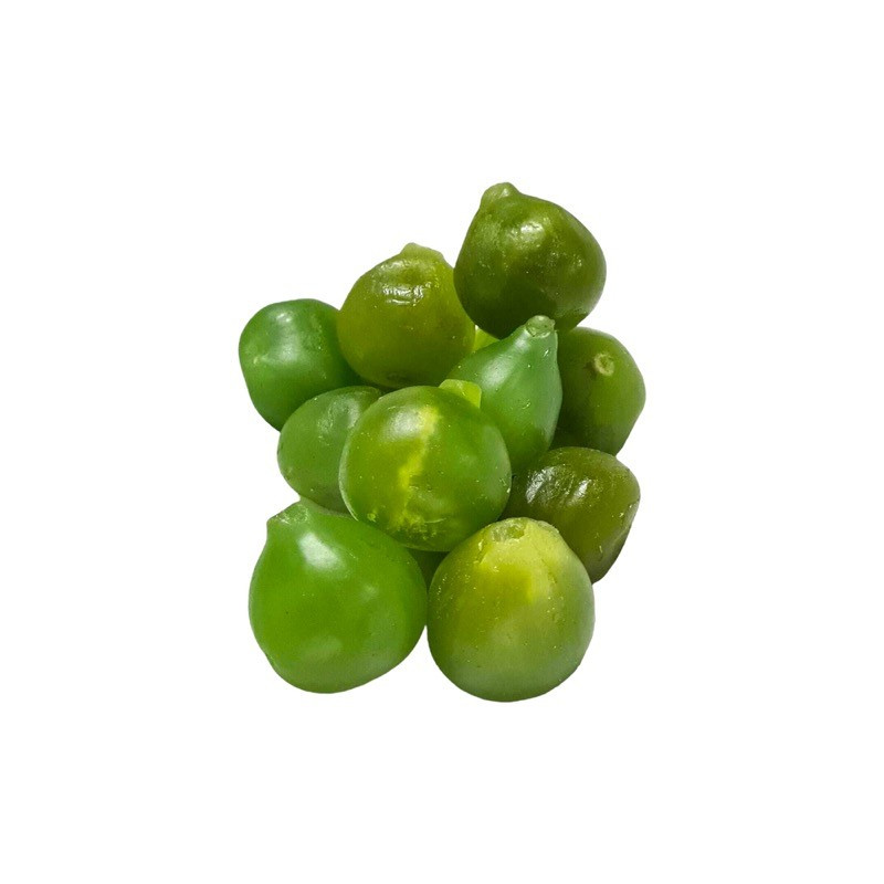 FICHI CANDITI KG 5