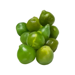 FICHI CANDITI KG 5