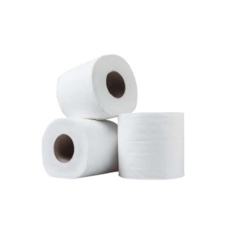 CARTA IGIENICA 12 ROTOLI