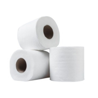 CARTA IGIENICA 12 ROTOLI