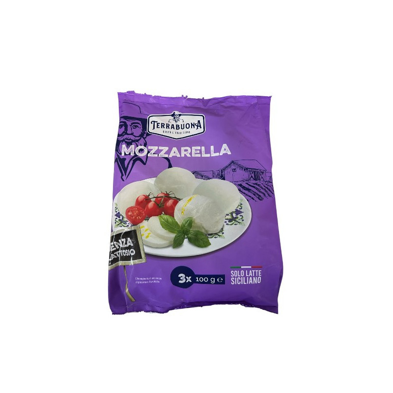 MOZZARELLA SENZA LATTOSIO GR100x3