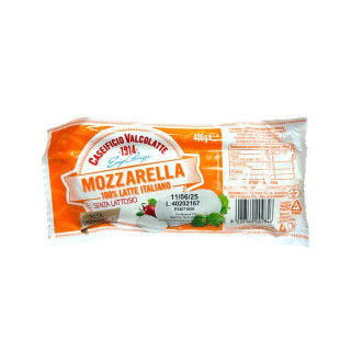 MOZZARELLA FILONE SENZA LATTOSIO GR 400