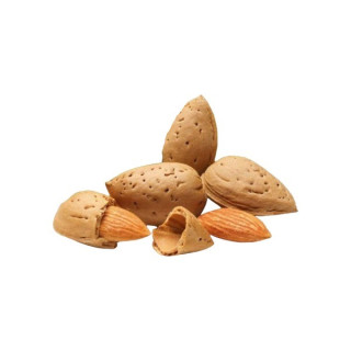MANDORLE CRUDE CON GUSCIO KG 1