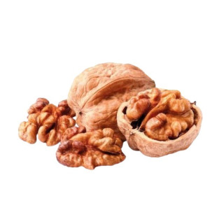 NOCI CON GUSCIO CALIF KG 1