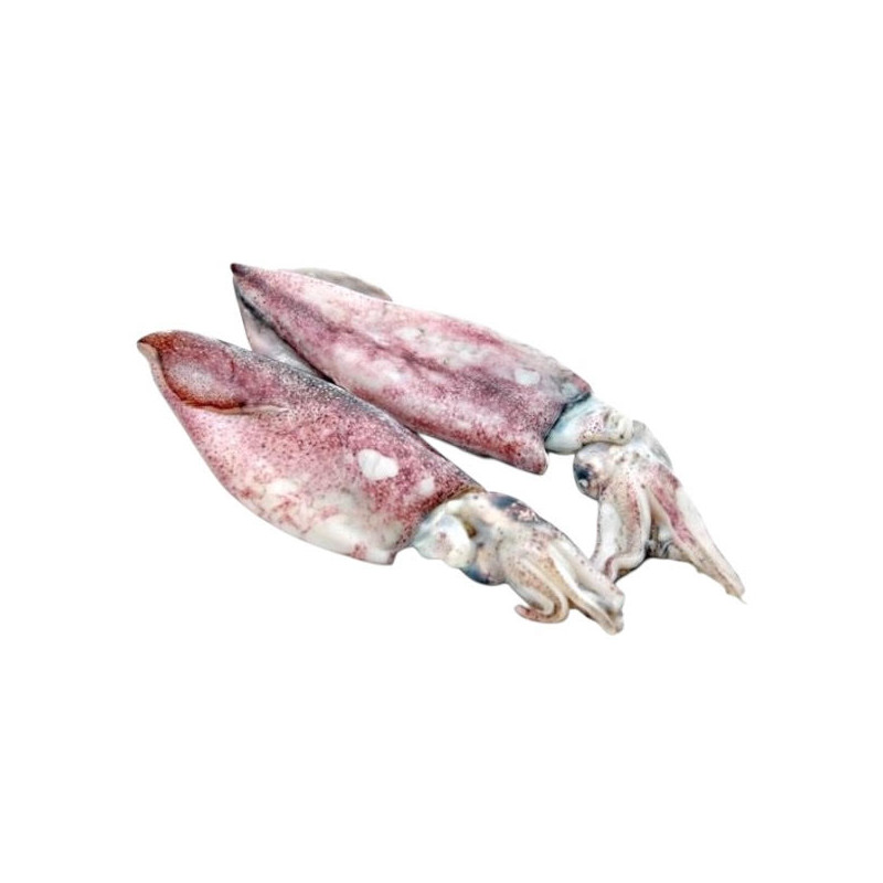 CALAMARI XL CJ C.BORDO KG. 13 FROZEN