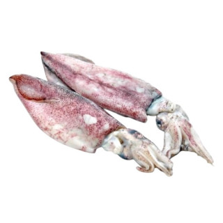 CALAMARI XL CJ C.BORDO KG. 13 FROZEN