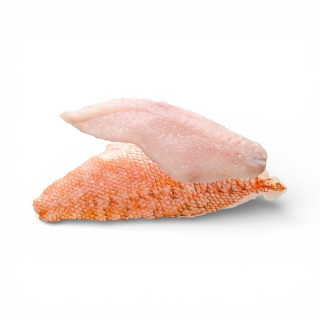 FILETTO DI SCORFANO KG 5 SURG