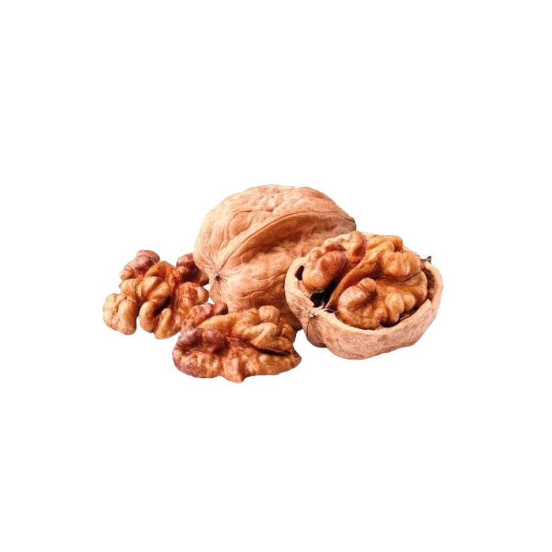 NOCI CON GUSCIO CALIF KG 1