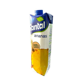 SUCCO SANTAL ANANAS LT1 BRICK