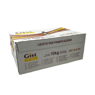 LIEVITO COMPRESSO GIST AL KG 