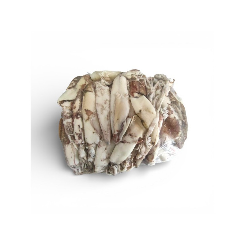 CALAMARI ATLANT XL C.BORDO AL KG FROZEN