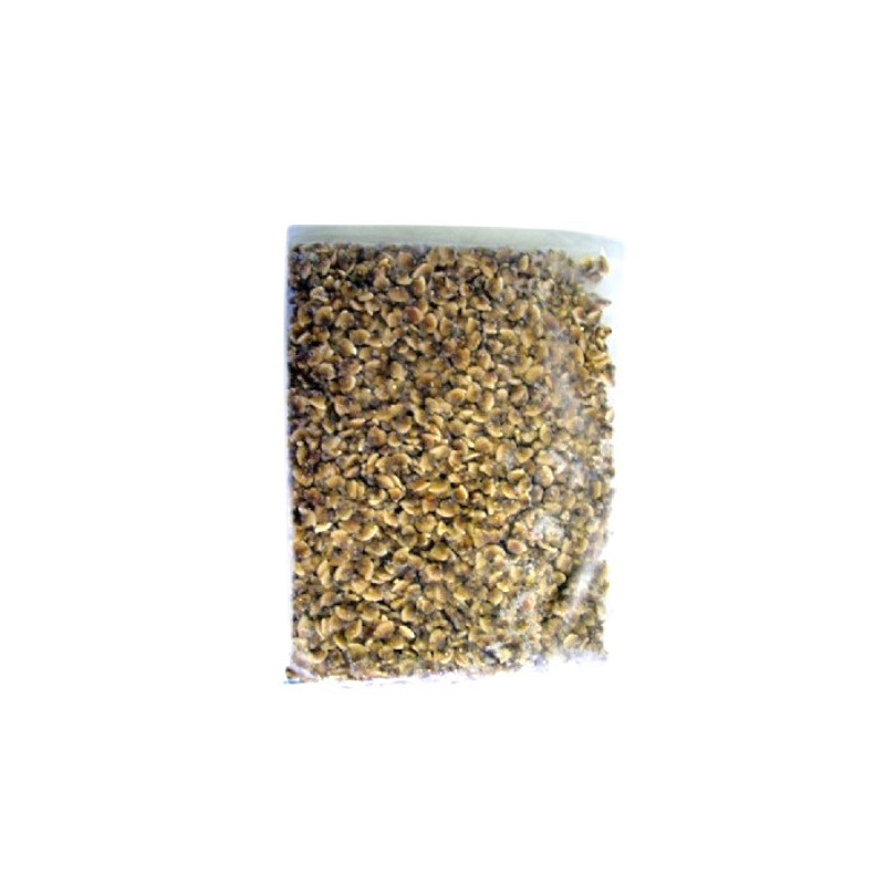 VONGOLE SGUSCIATE IQF GR. 800 FROZEN