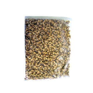 VONGOLE SGUSCIATE IQF GR. 800 FROZEN