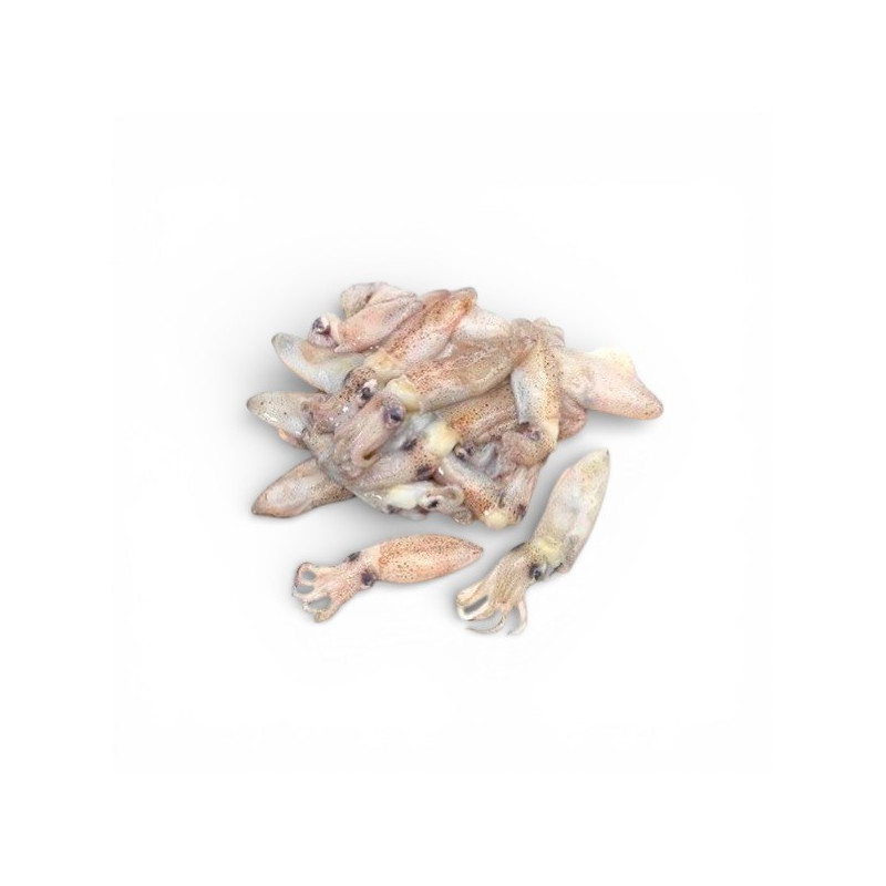 CALAMARETTI PUNTILLA PACIF.GR.900 FROZEN