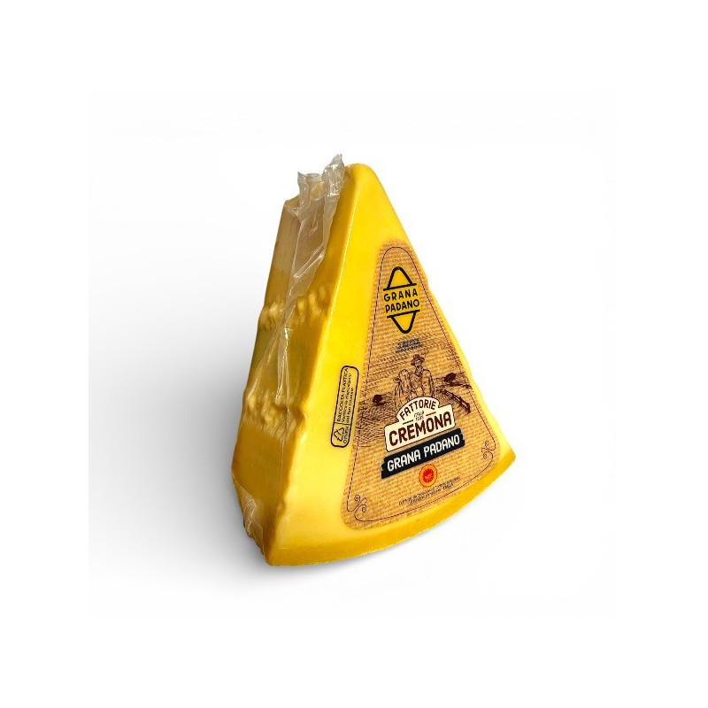 GRANA PADANO DOP 1/16 CREMONA