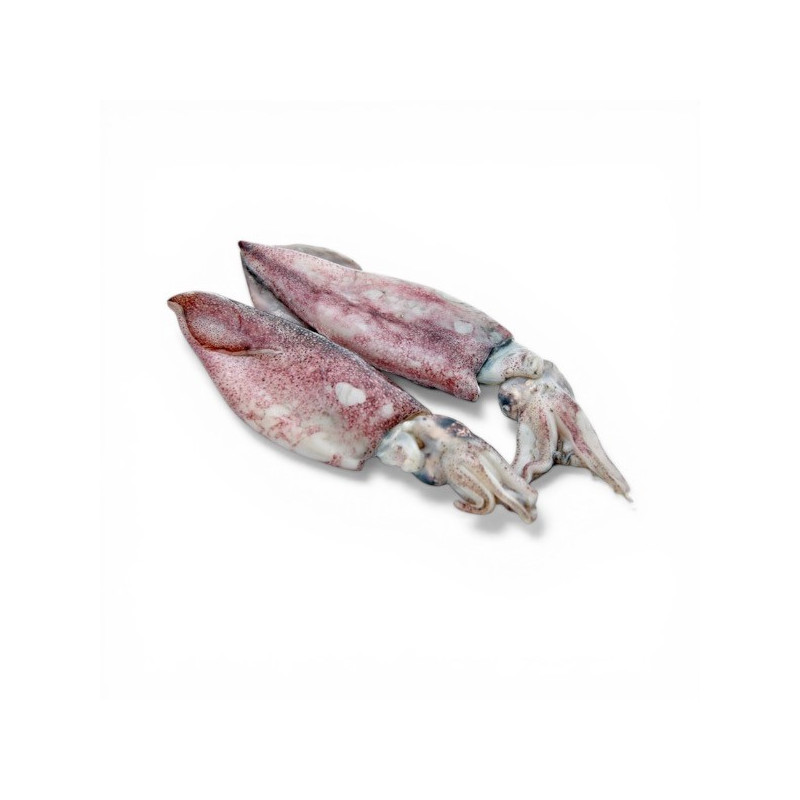 CALAMARI INDIA 3/6 IQF KG. 12