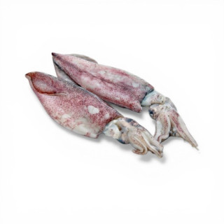 CALAMARI INDIA 3/6 IQF KG. 12