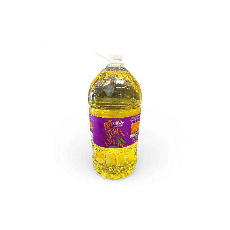 FRITTURISTA ZUCCHI PROFESSIONAL LT 10