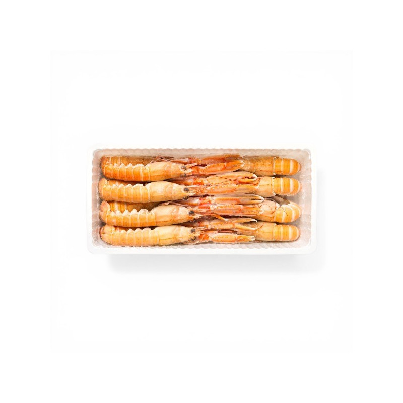SCAMPI 13/16 KG. 1 FROZEN