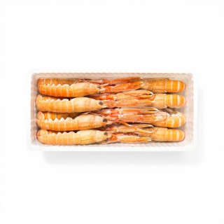 SCAMPI 13/16 KG. 1 FROZEN