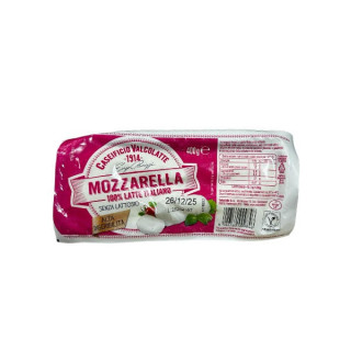 MOZZARELLA FILONE SENZA LATTOSIO GR 400