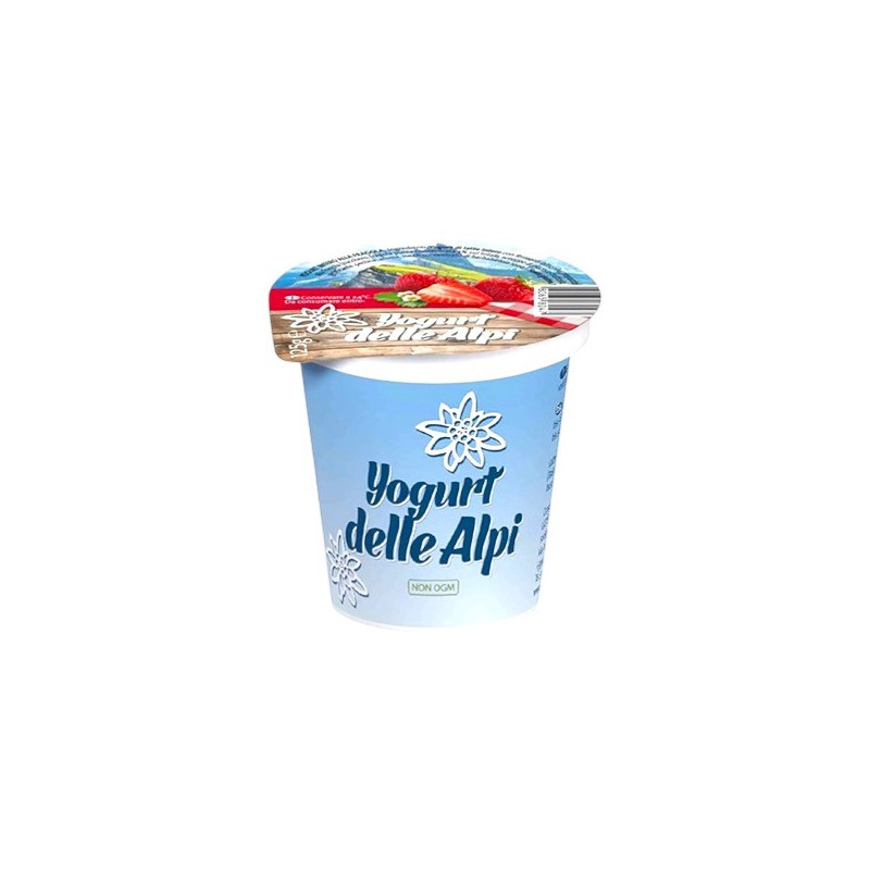 YOGURT FRUTTA GR. 125
