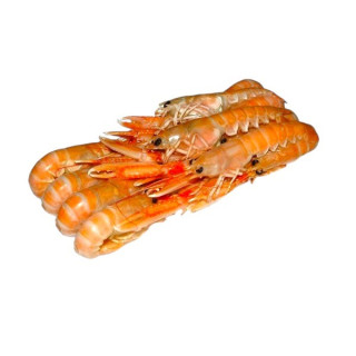 SCAMPI 13/16 GR. 750 FROZEN