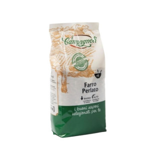 FARRO PERLATO GR500 CAMPAGNOLI