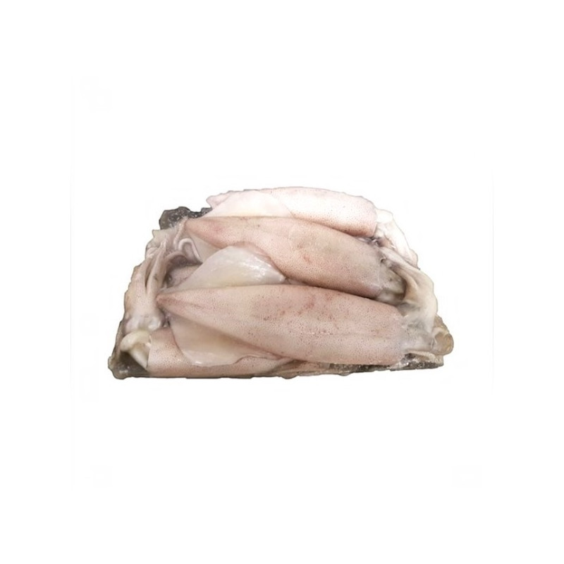 SCAMPI C/GUSCIO 17/20 KG.1 FROZEN