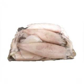 SCAMPI C/GUSCIO 17/20 KG.1 FROZEN