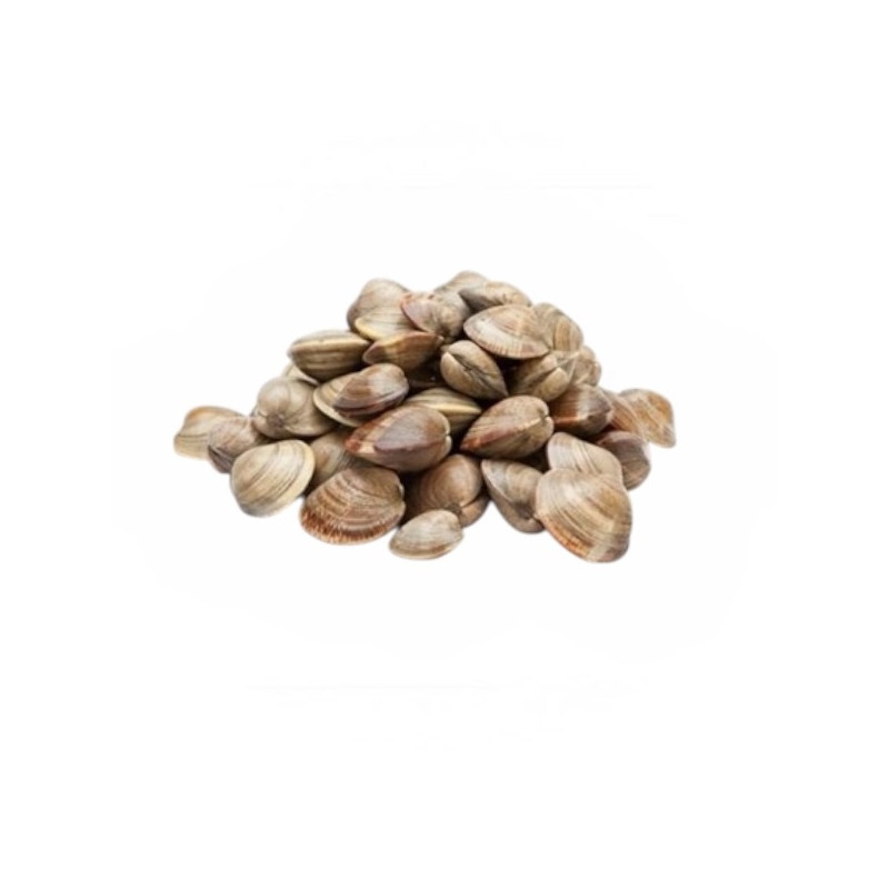 VONGOLE C/GUSCIO IQF KG.10 FROZEN