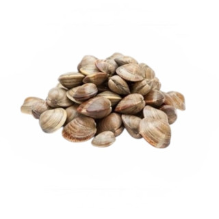 VONGOLE C/GUSCIO IQF KG.10 FROZEN