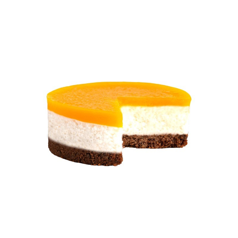 SEMIFREDDO COCCO & MANGO(RTS) PZ 9