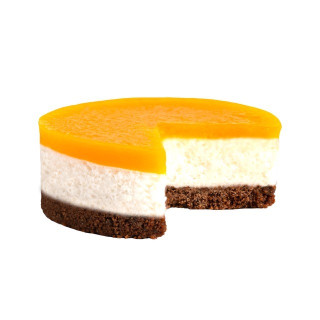 SEMIFREDDO COCCO & MANGO(RTS) PZ 9