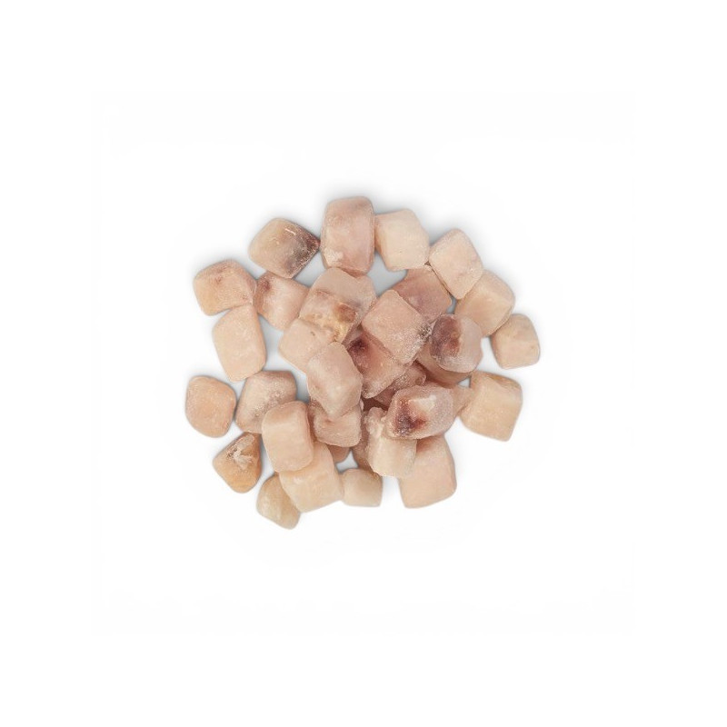 PESCE SPADA DADINI KG 1.8