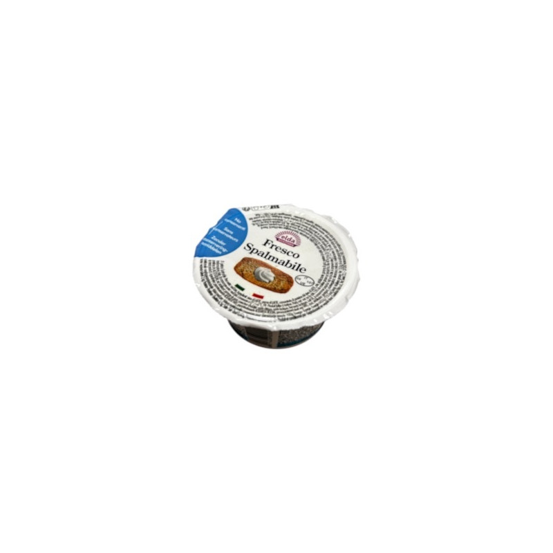FORMAGGIO SPALMABILE GR.100x15PZ