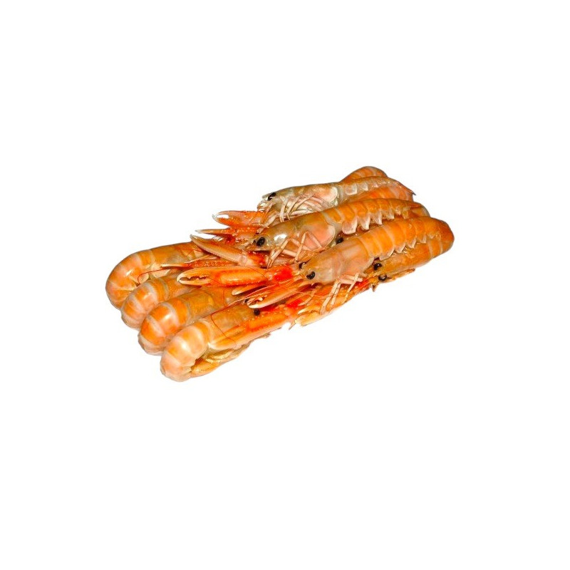SCAMPI C/GUSCIO 13/16 GR. 750 FROZEN