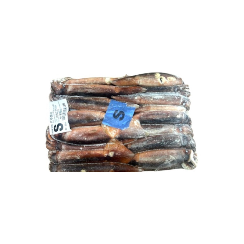 TOTANO BLOCCO S AL KG FROZEN
