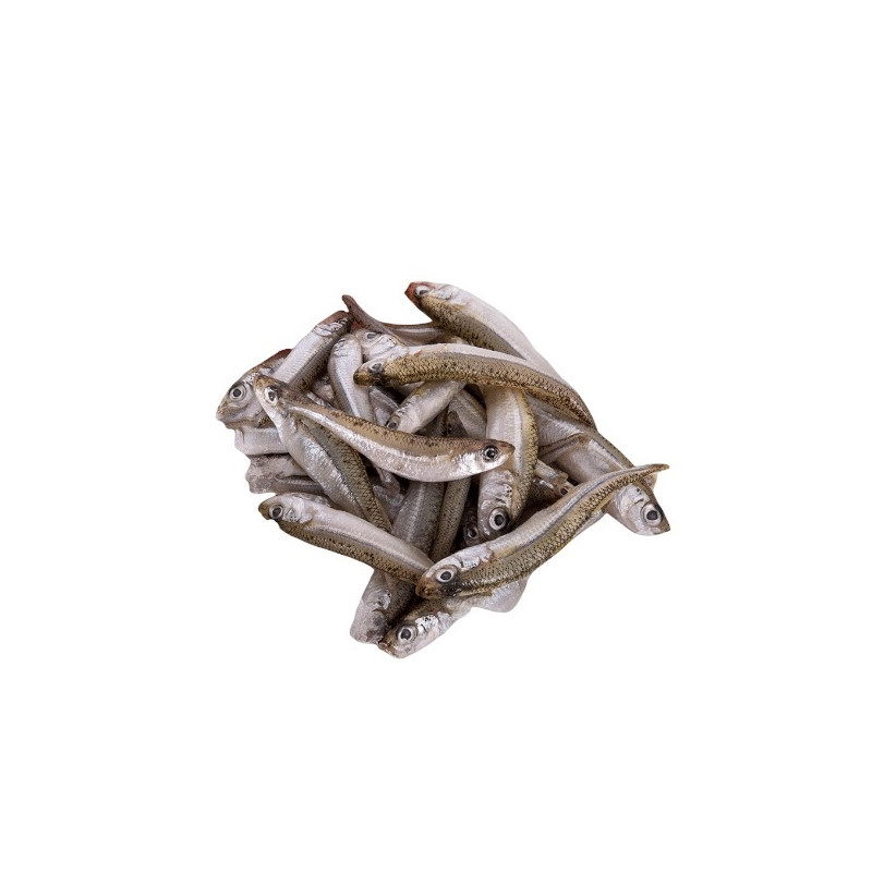 LATTERINO IQF 10/12 KG.1 FROZEN 