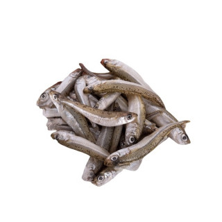 LATTERINO IQF 10/12 KG.1 FROZEN 