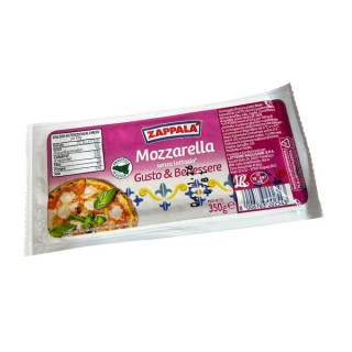 MOZZARELLA FILONE S/LATTOSIO GR350 ZAPP.